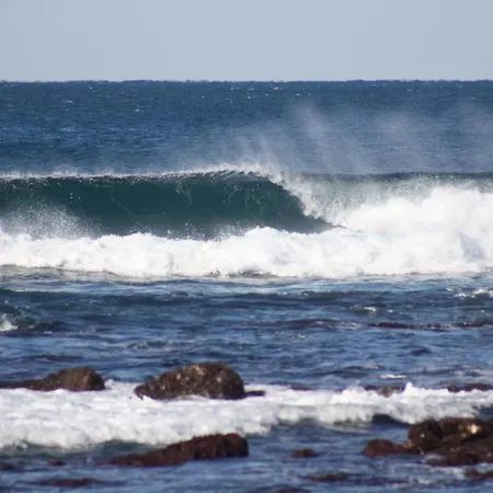 Hostel Blue Buddha Surf Ericeira